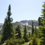 Буковель влітку: чому відпочинок у горах не поступається зимовому