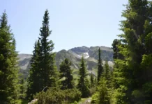 Буковель влітку: чому відпочинок у горах не поступається зимовому