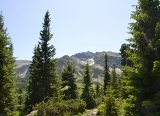 Буковель влітку: чому відпочинок у горах не поступається зимовому