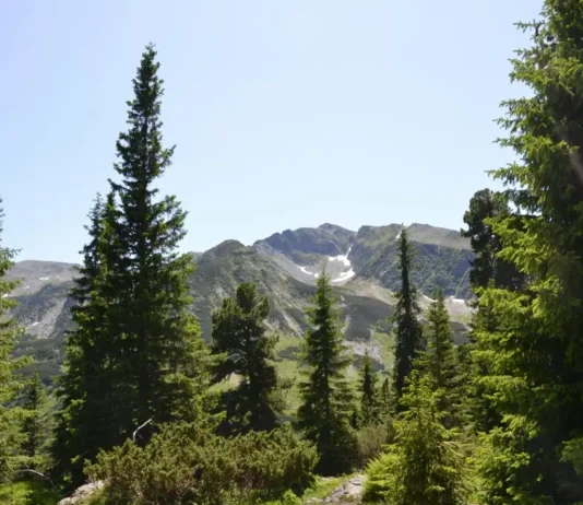 Буковель влітку: чому відпочинок у горах не поступається зимовому
