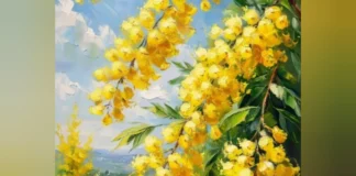 У Херсоні проведуть майстер-клас «Цвіт мімози»