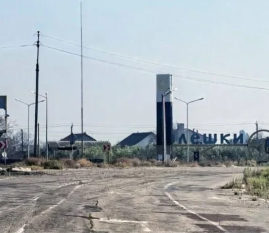 Омбудсман звернувся до Червоного Хреста та РФ щодо ситуації в окупованих Олешках на Херсонщині