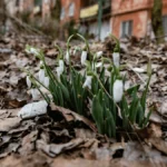 Яка погода очікується в Херсоні та області 2 березня 2026 року?