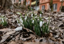 Яка погода очікується в Херсоні та області 2 березня 2026 року?