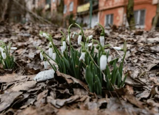 Яка погода очікується в Херсоні та області 2 березня 2026 року?