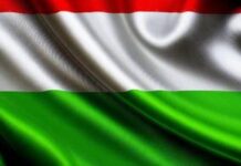 В Венгрии партия Tisza увеличивает отрыв, вероятно, в следующий парламент войдут только две партии — СМИ