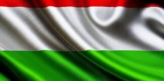 Нынешнее правительство Венгрии разжигает антиукраинские настроения в венгерском обществе – Зеленский