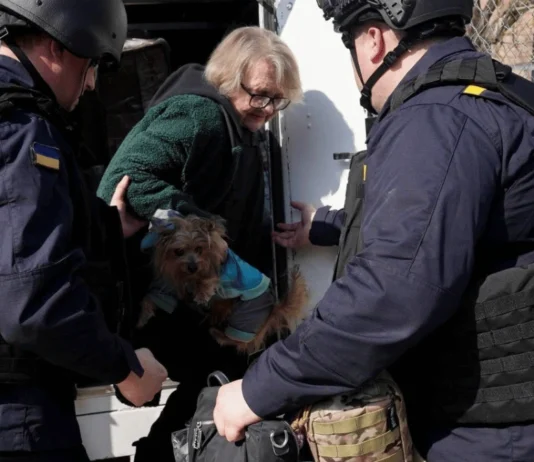 Рятувальники евакуювали з небезпечного району Херсона жінку з песиком