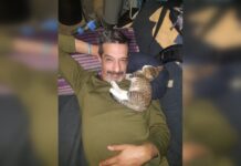 «Нам обещали»: семья погибшего на войне Максима Нелипы не может поставить памятник на его могиле