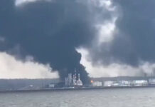 Поражены танкеры, насосная станция и объекты «Новатэка»: что известно о последствиях удара по Усть-Луге