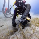 Найдено физическое доказательство: ученые обнаружили фрагмент похищенного из Парфенона мрамора (фото)