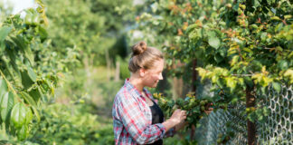 В соседнем доме слышались шумы: женщина зашла внутрь и не поверила глазам (видео)