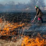 Штрафы до 150 тысяч грн: как украинцев могут наказать за сожжение листьев