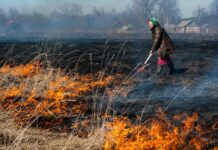 Штрафы до 150 тысяч грн: как украинцев могут наказать за сожжение листьев