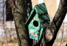 Яка погода очікується в Херсоні та області 21 березня 2026 року?