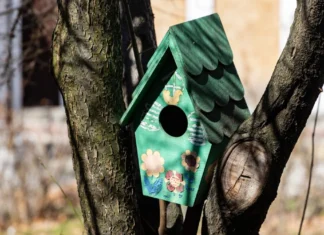 Яка погода очікується в Херсоні та області 21 березня 2026 року?