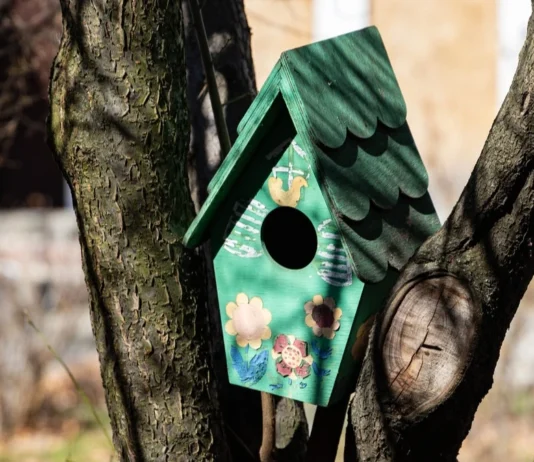 Яка погода очікується в Херсоні та області 21 березня 2026 року?