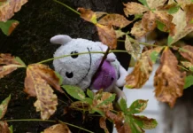 У Херсоні не фіксували випадків примусової евакуації дітей без згоди батьків