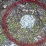 У Херсоні зафіксували мінування перехрестя