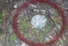 У Херсоні зафіксували мінування перехрестя