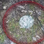 В одному з мікрорайонів Херсона зафіксували дистанційне мінування