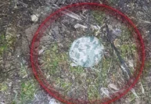 В одному з мікрорайонів Херсона зафіксували дистанційне мінування