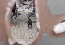 Окупаційні війська влучили у подвір’я будинку в одному з районів Херсона. ВІДЕО