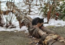 У Херсонській області визначили погодні умови для завершення сезону опалення