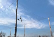 У Чорнобаївці антидронова сітка зупинила російський безпілотник (фото)