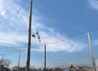 У Чорнобаївці антидронова сітка зупинила російський безпілотник (фото)