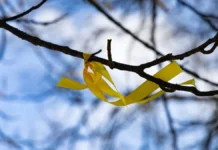 Яка погода очікується в Херсоні та області 5 березня 2026 року?