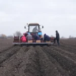 На Херсонщині овочівництвом займається майже 100 господарств