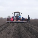 На Херсонщині фермер збільшує площі під вирощування овочів