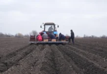 На Херсонщині фермер збільшує площі під вирощування овочів