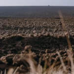 Суд зобов’язав підприємство повернути Херсонській громаді понад пів мільйона гривень