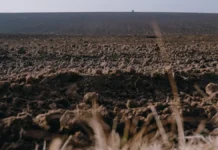 Суд зобов’язав підприємство повернути Херсонській громаді понад пів мільйона гривень