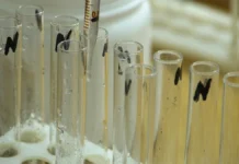 У Херсоні у лютому зафіксували перевищення забруднення повітря за трьома показниками