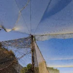 Близько 600 кілометрів доріг в Україні потребують антидронового захисту — віцепрем’єр Кулеба