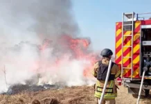 Який штраф загрожує за спалювання листя на Херсонщині