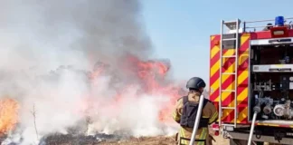 Який штраф загрожує за спалювання листя на Херсонщині