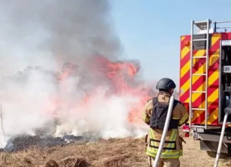Який штраф загрожує за спалювання листя на Херсонщині