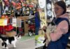 В Кривом Роге кошка работает в местном супермаркете: имеет необычное полное имя и должность (видео)