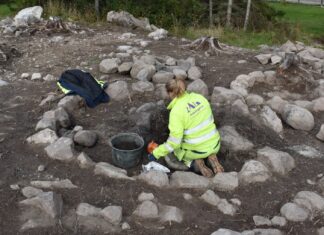 Редкая коллекция: в Швеции археологи откопали сотни артефактов времен эпохи викингов (фото)