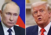 Трамп планирует пригласить Путина на саммит «Большой двадцатки» в Майами – СМИ