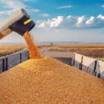 Египет отказался от зерна, экспортируемого РФ с оккупированных украинских территорий – Зеленский