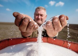 В ООН предупредили о риске продовольственной катастрофы из-за блокады Ормузского пролива