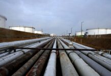 Словакия впервые за три месяца начала получать российскую нефть: «Дружба» начала работать