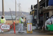 Массовый убой скота в РФ, вероятно, связан с новым штаммом ящура: его подтвердили в Китае