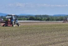 В Украине отменили требование стажа для работы на сельхозтехнике из-за войны