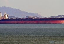 «Редкое явление». Bloomberg сообщило, что супертанкер под флагом РФ прошел Ормузский пролив